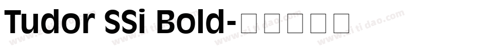 Tudor SSi Bold字体转换